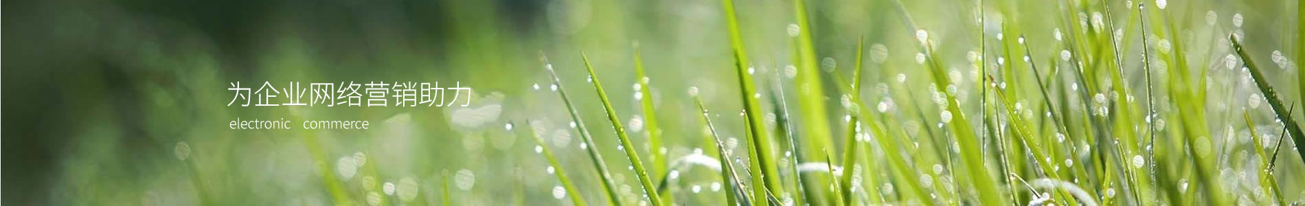 гŶǶǲ޹˾